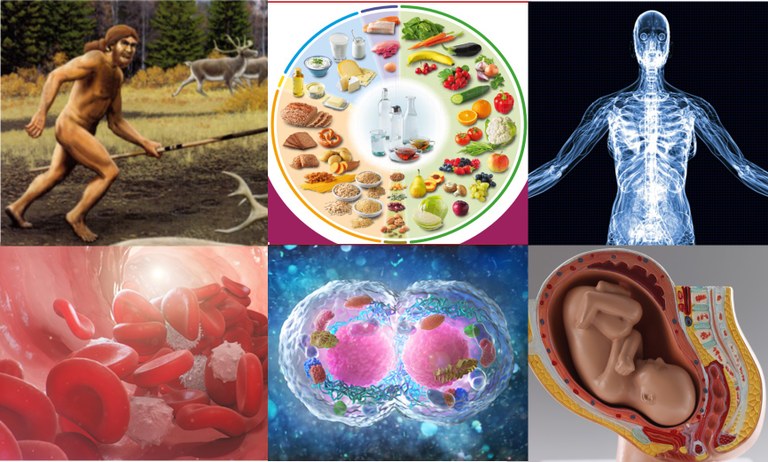 Humanbio-2 Homepage.jpg