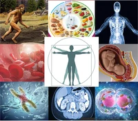 Humanbio Homepage.jpg