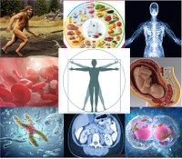 Humanbio Homepage.jpg