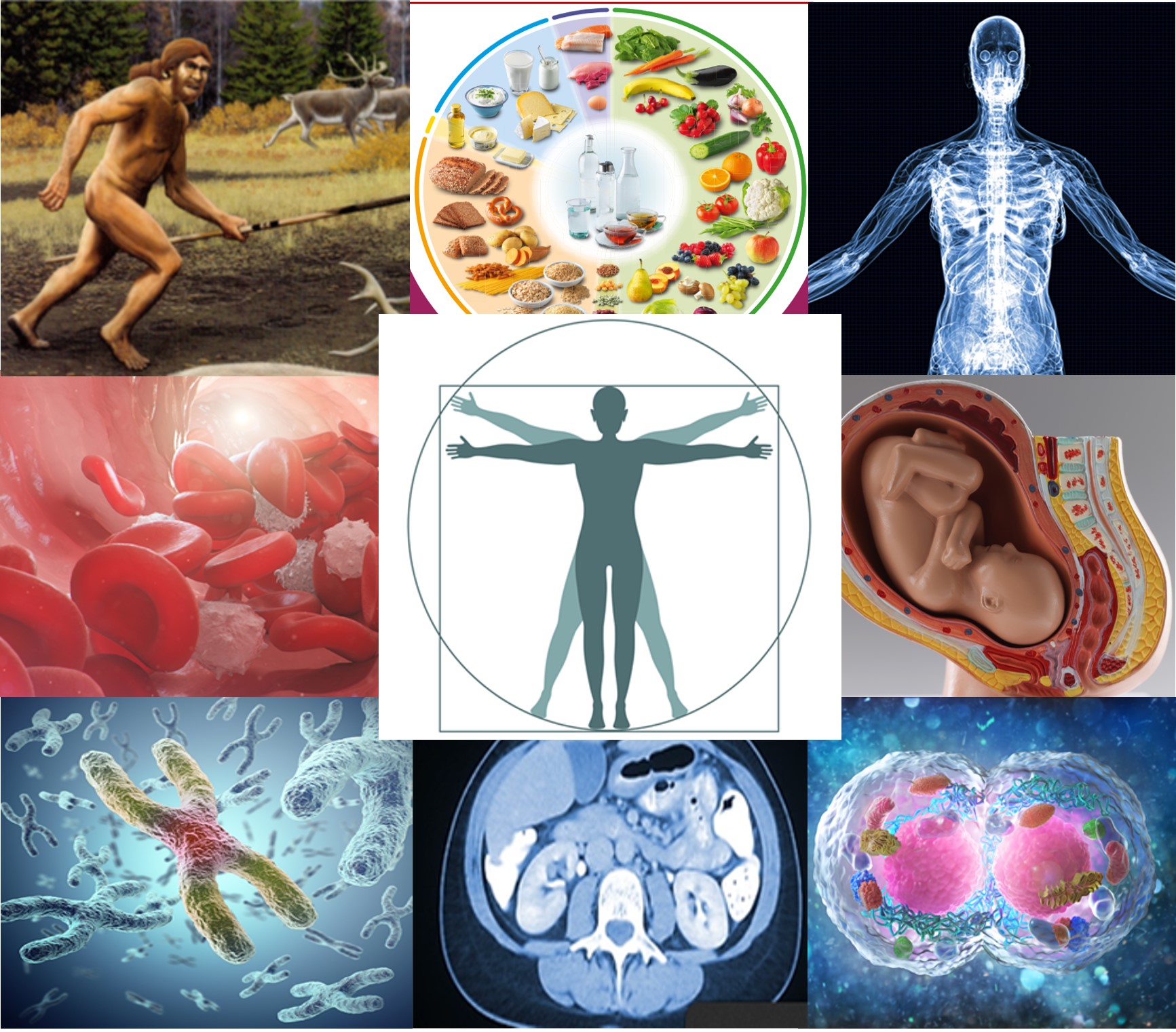 Humanbio Homepage.jpg