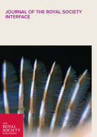 Cover_Interface_Leandra.png