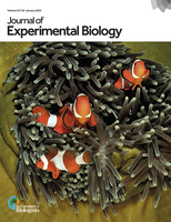 m_jexbio_227_2.cover.png