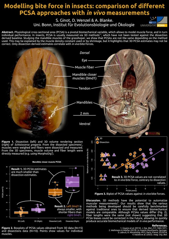 posterSEB_light.pdf