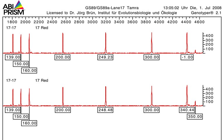 GS89GS89a-Lane17 Tamra.jpg