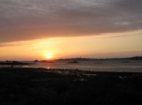 Roscoff_2.jpg