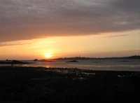 Roscoff_2.jpg