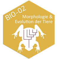 Tile_Bio-02.png