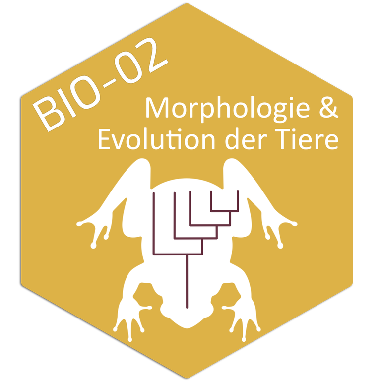 Tile_Bio-02.png