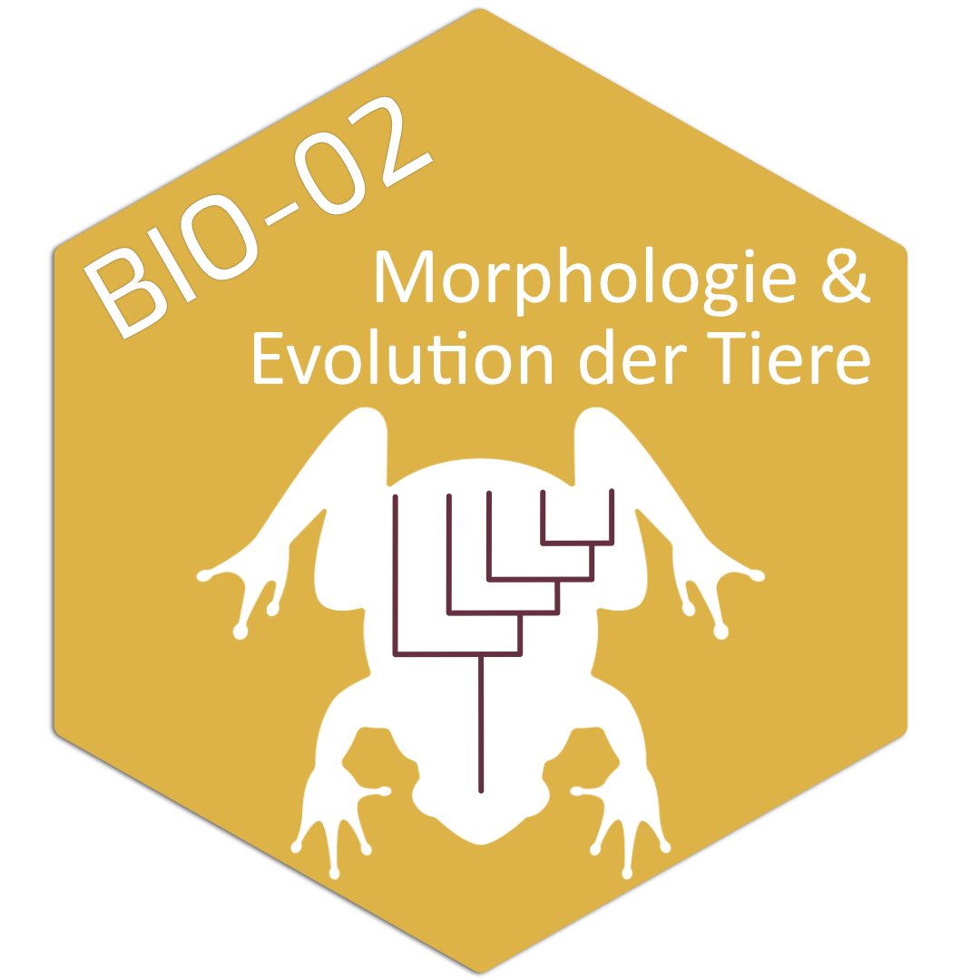 Tile_Bio-02.png