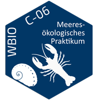Tile_WBio-C-06.png