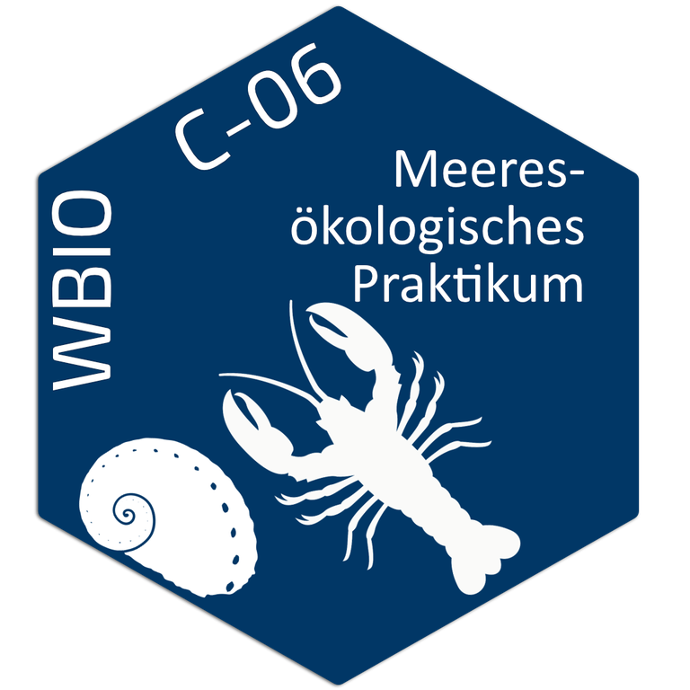 Tile_WBio-C-06.png