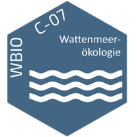 Tile_WBio-C-07.png