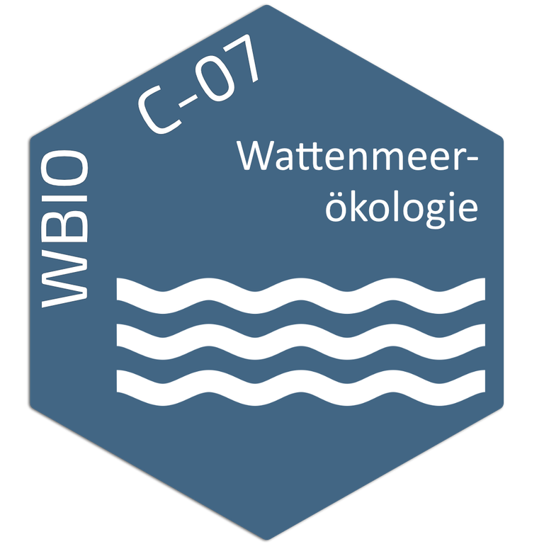 Tile_WBio-C-07.png