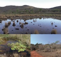 The “canga’s” savannas of Carajás, Pará, Brazil 