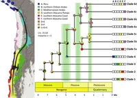 Boehnertetal2022_CristariaAtacama.jpg