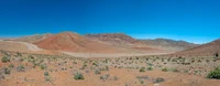 Chile_Atacama_PanDeAzucar-NP.jpg