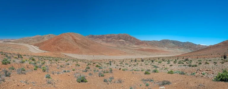 Chile_Atacama_PanDeAzucar-NP.jpg