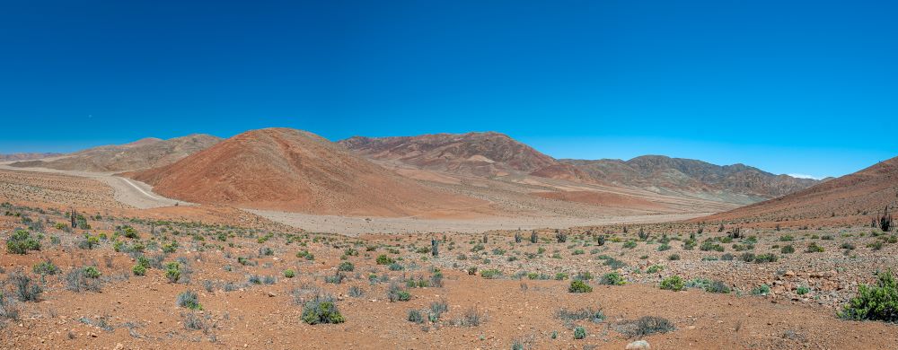 Chile_Atacama_PanDeAzucar-NP.jpg