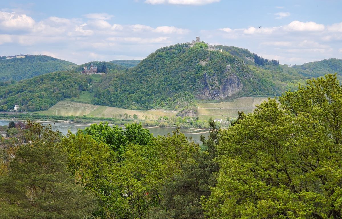 DrachenfelsvonRodderberg_JMutke20220424.jpg