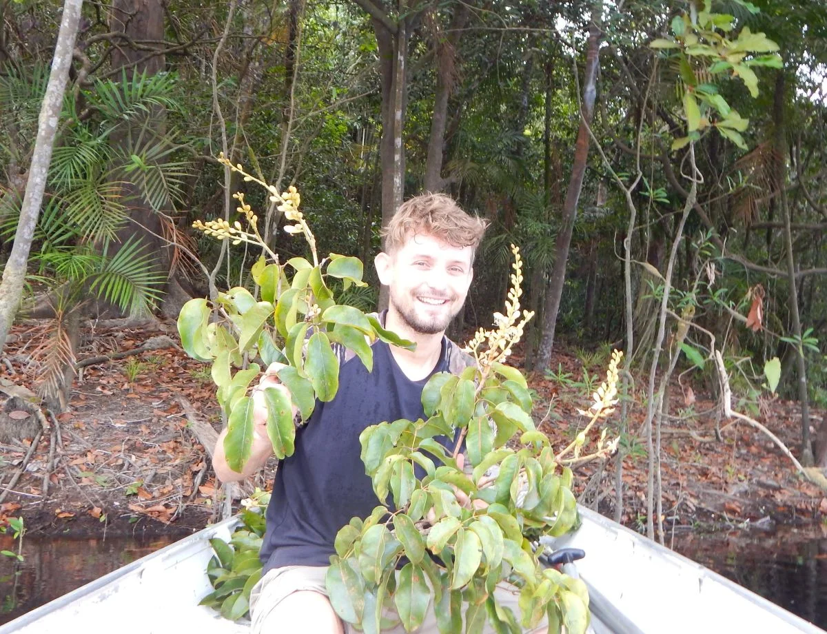 Dr. Gustavo Ramos with Aldina latifolia in the seasonally flooded igapo forests in vicinities of Manaus, Amazonas.