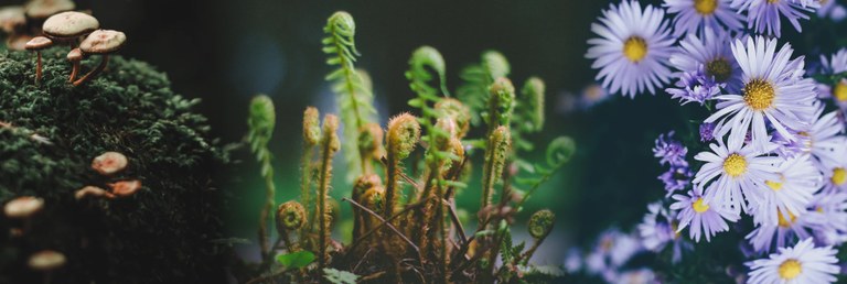 BIO-06 Header