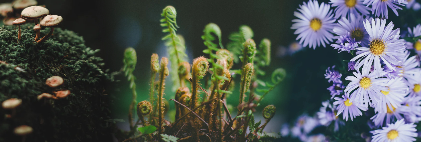 BIO-06 Header