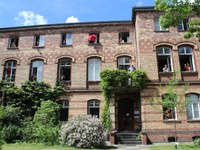 BIOB Abt. I - Biodiversität der Pflanzen