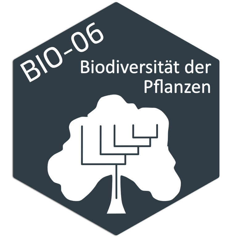 BIO06 Logo