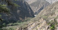 EcuadorTrockental_jmutke_2006.jpg