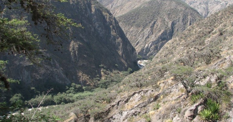 EcuadorTrockental_jmutke_2006.jpg