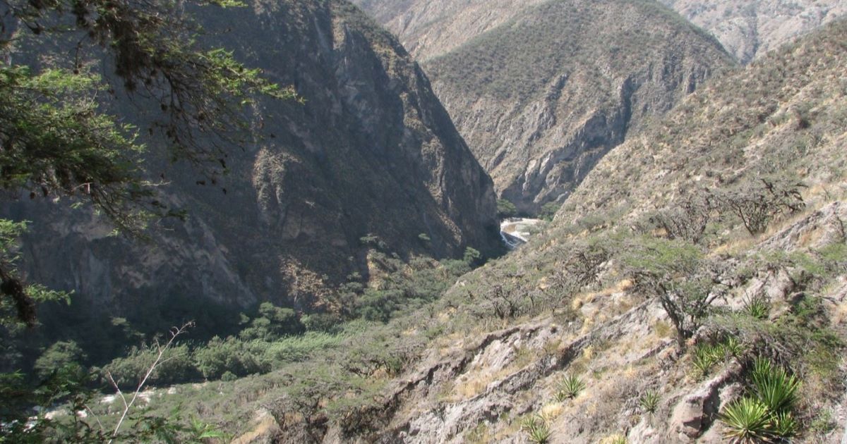 EcuadorTrockental_jmutke_2006.jpg