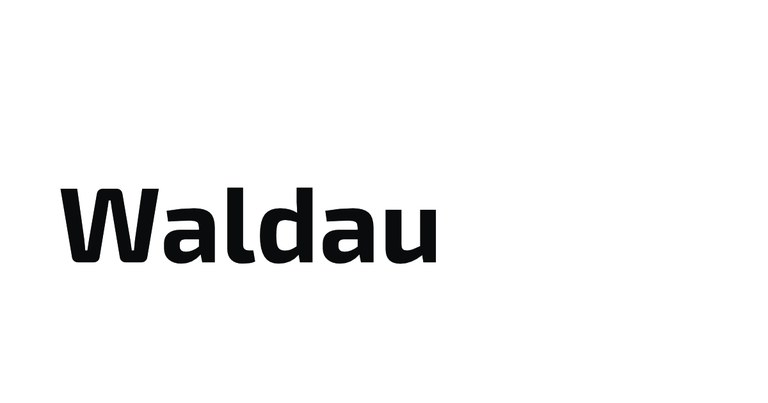 B31_dummy_Waldau