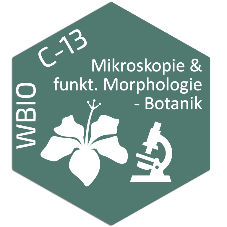 WBIO C13 Logo