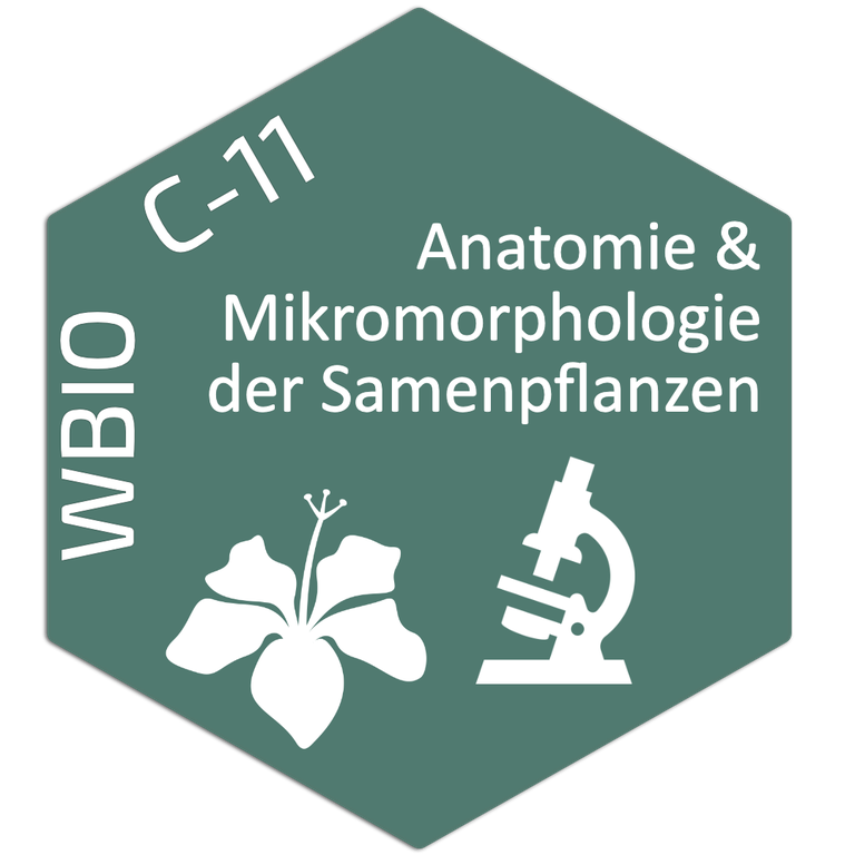 WBIO C11 Logo