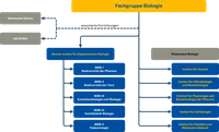 Organisationsstruktur_FGBiol