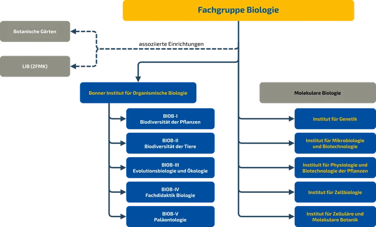 Organisationsstruktur_FGBiol