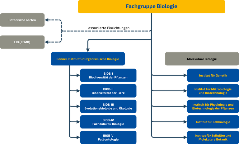 Organisationsstruktur_FGBiol