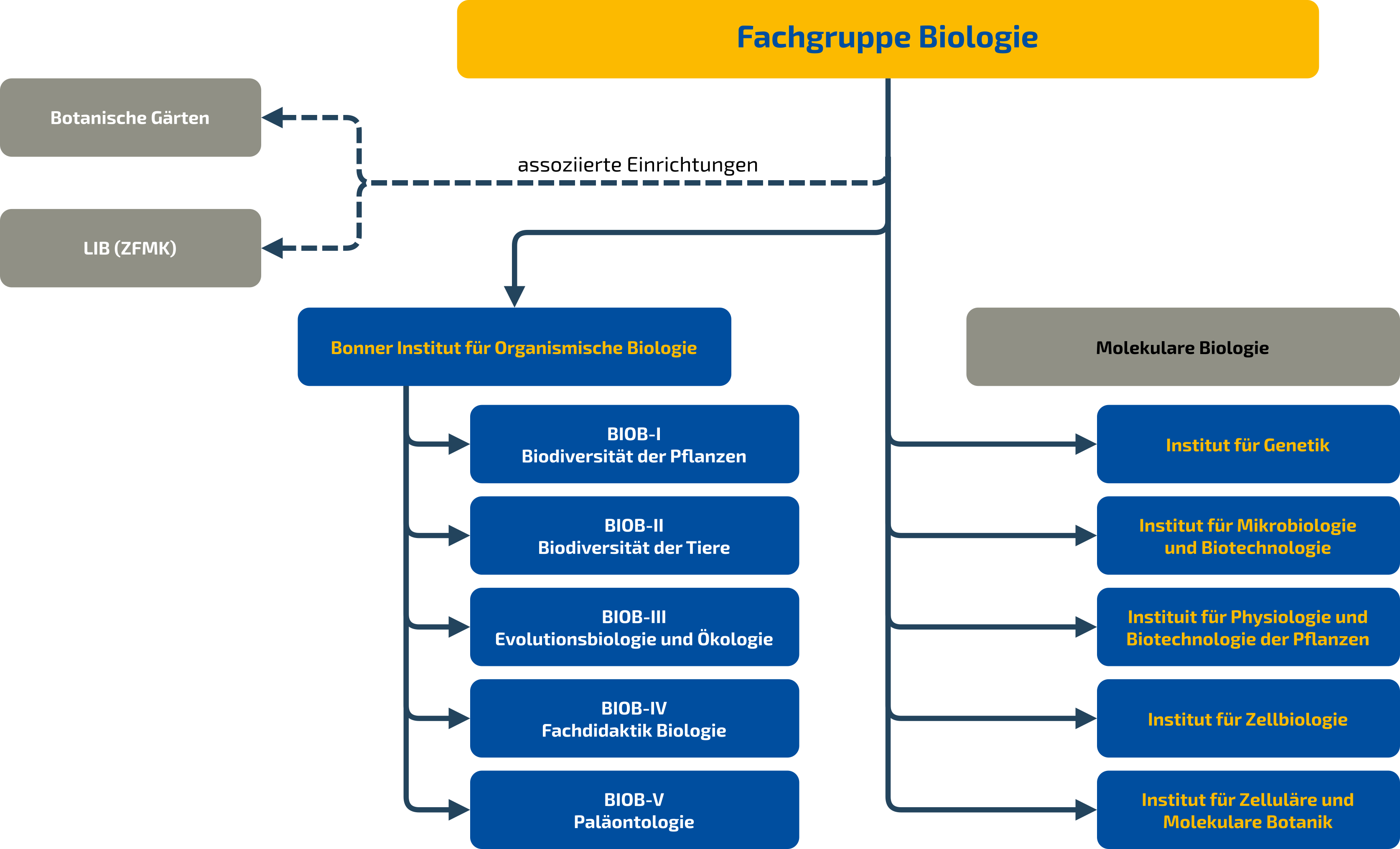 Organisationsstruktur_FGBiol
