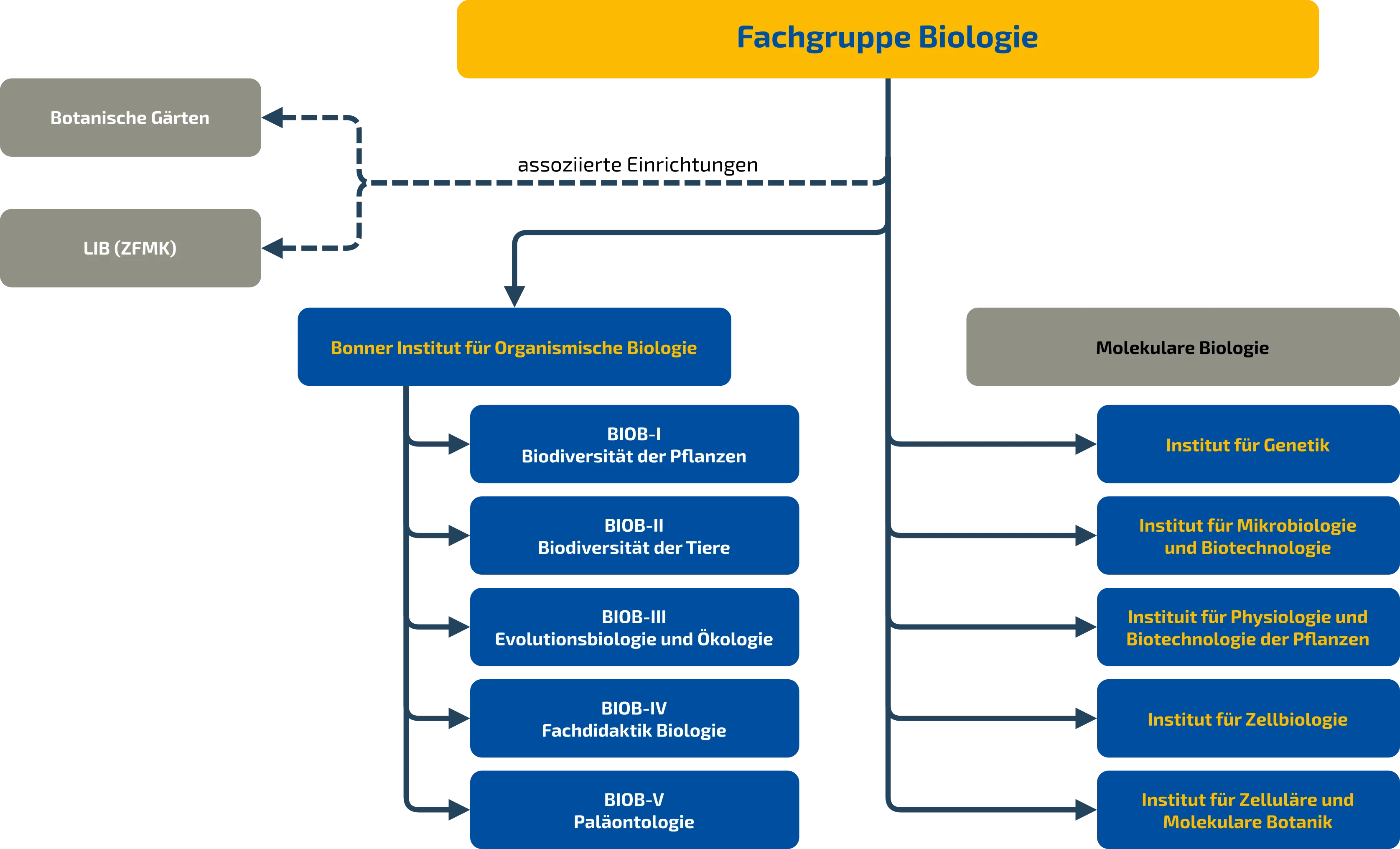 Organisationsstruktur_FGBiol