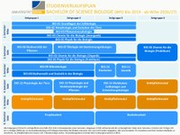 Studienverlaufsplan Curriculum 2019.pdf