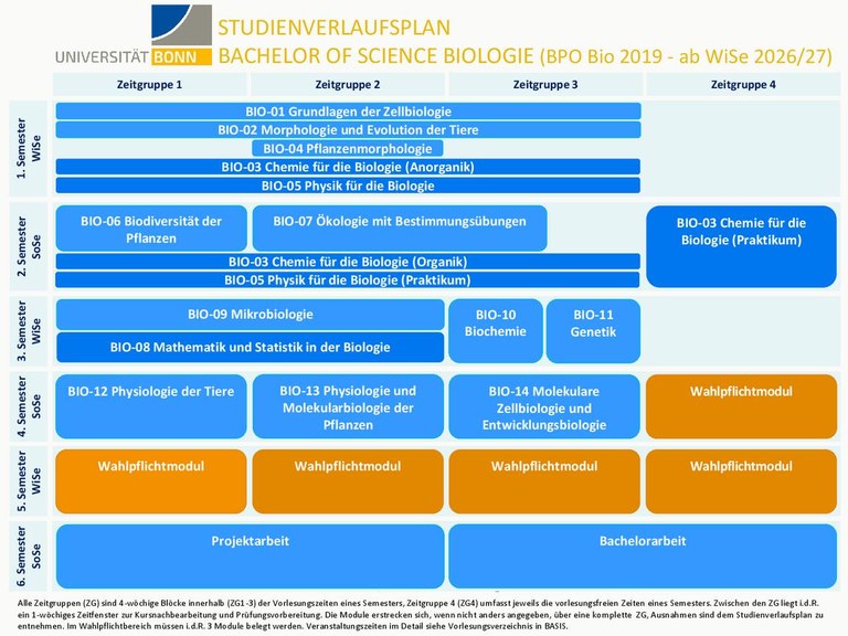 Studienverlaufsplan Curriculum 2019.pdf