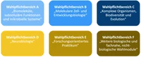 Wahlpflichtbereich.png