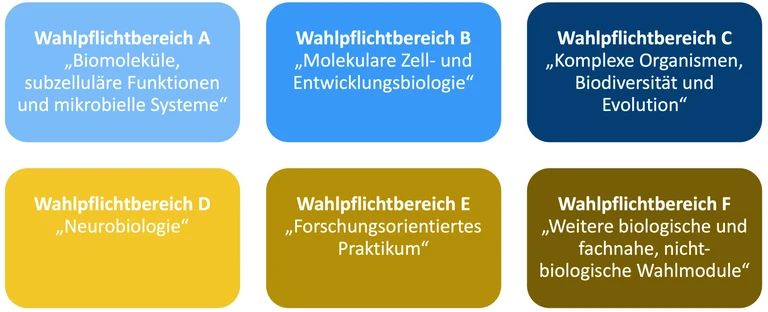 Wahlpflichtbereich.png
