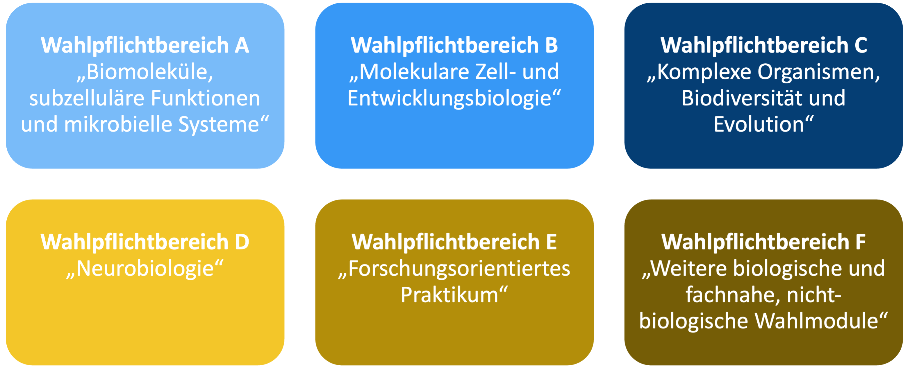 Wahlpflichtbereich.png