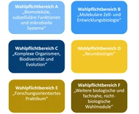 Wahlpflichtbereich_hochkant.png