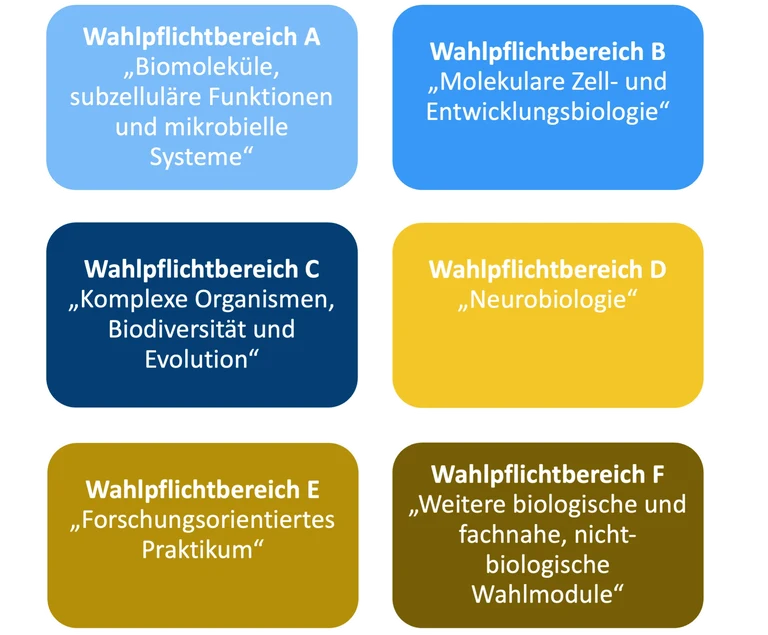 Wahlpflichtbereich_hochkant.png
