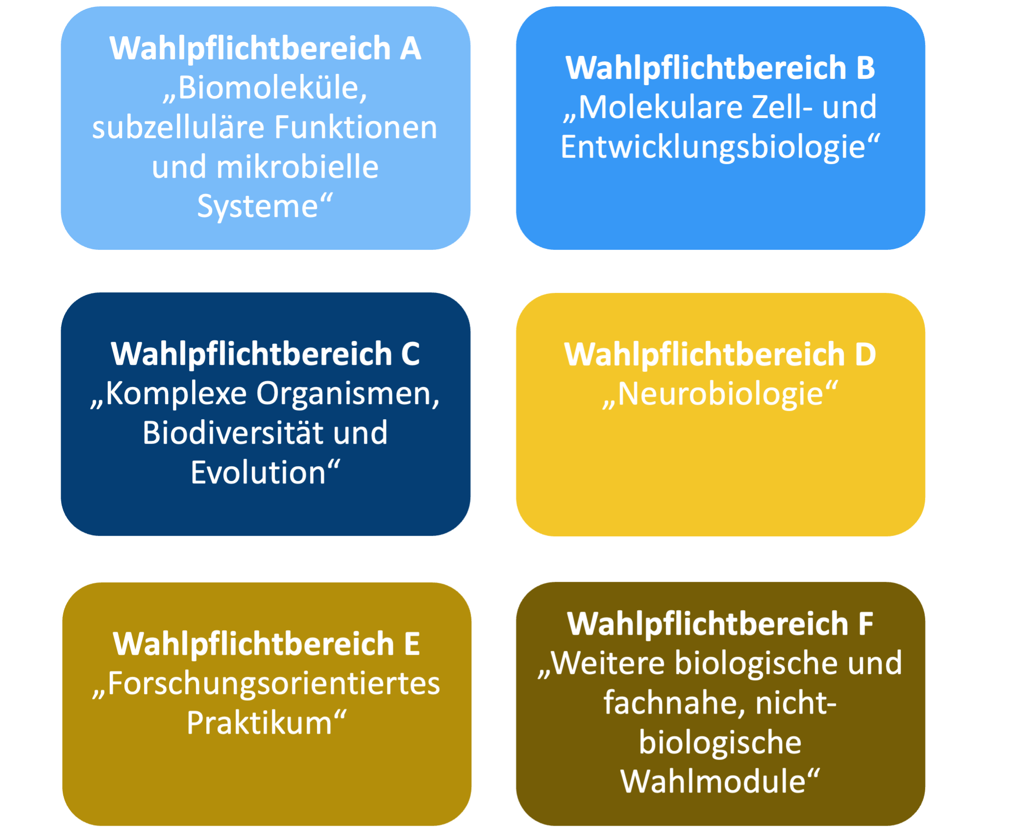 Wahlpflichtbereich_hochkant.png