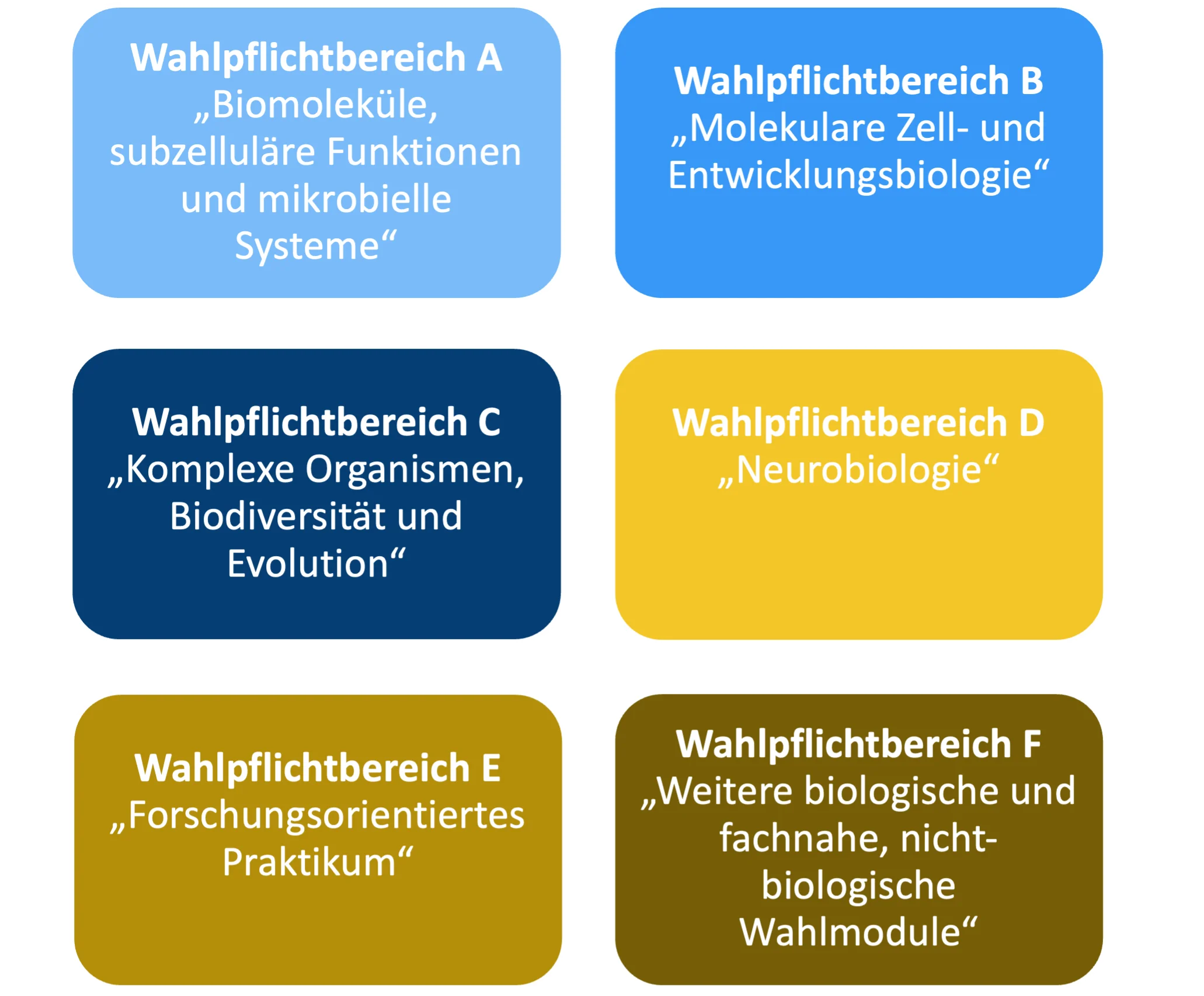 Wahlpflichtbereich_hochkant.png