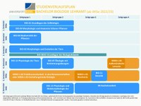 Biologie_Studienverlaufsplan 2022 Lehramt Bachelor.pdf