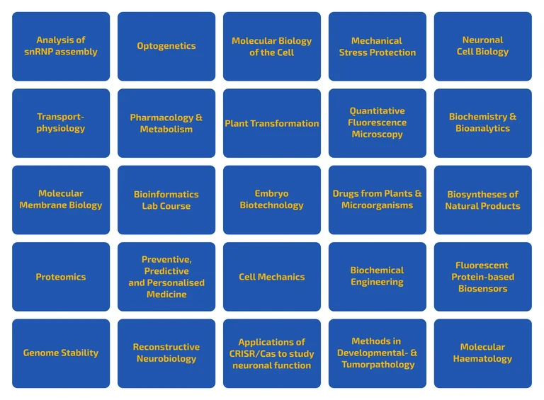 MolCellBiol_Electives